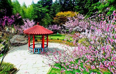 廬山景區(qū)今日起恢復開放!疫情期間游覽這些事要清楚!