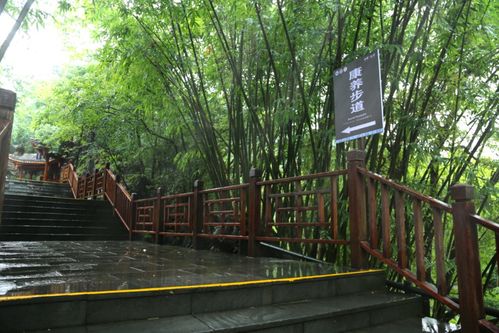 通知丨龍宮景區調整部分游覽線路及龍宮精品旅游攻略