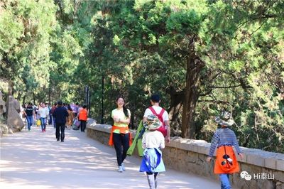 數(shù)據(jù) | 客流分析研判:8天假期泰山游客或?qū)⒃黾?%,泰山人已準(zhǔn)備好!_財(cái)經(jīng)_網(wǎng)
