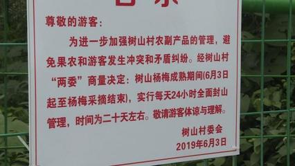 再過(guò)5天,樹(shù)山楊梅上市!果實(shí)很誘人,但請(qǐng)不要隨意采摘哦