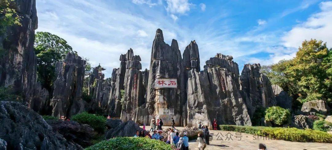 高考生福利來襲！6月10日至8月31日免費暢游石林三大景區